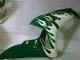Carenados Moto Honda CBR1000RR 2006-2007 - Blanco Verde Llama