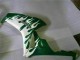 Carenados Moto Honda CBR1000RR 2006-2007 - Blanco Verde Llama