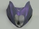 Carenados Moto Suzuki GSXR 1300 Hayabusa 1996-2007 - Camaleón Gris Dazz Púrpura Perla