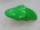 Carenados Moto Kawasaki ZX9R 2000-2001 - Verde Plata Negro