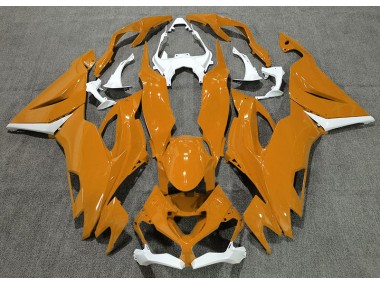 Naranja Brillante & Blanco 19-23 Kawasaki ZX6R Carenado