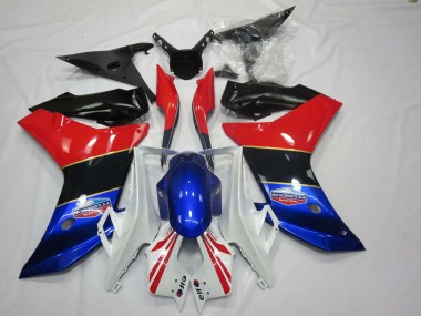 Raya Dorada Tricolor 11-12 Honda CBR600F Carenado